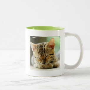 Sleeping Little Baby Kitty Two-Tone Coffee Mug
