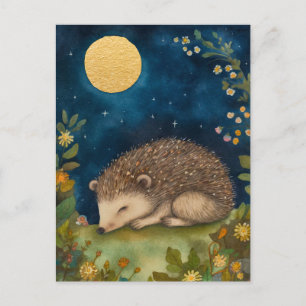 Sleeping Little Hedghog Postcard