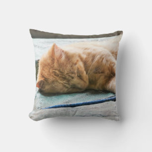 Sleeping Longhaired Ginger Cat Cushion
