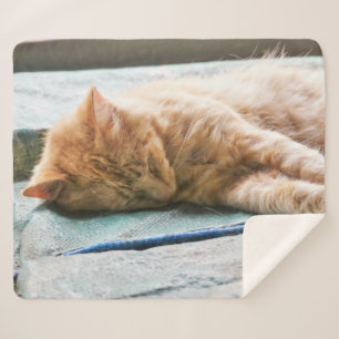 Sleeping Longhaired Ginger Cat Fleece Blanket
