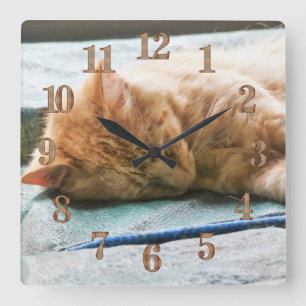 Sleeping Longhaired Ginger Cat Square Wall Clock