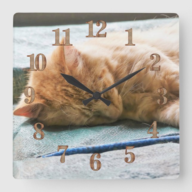 Sleeping Longhaired Ginger Cat Square Wall Clock (Front)