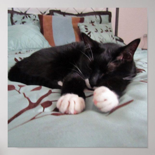 Sleeping Lucy Poster (Front)