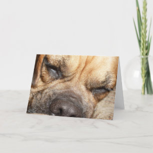 Sleeping Mastiff Greeting Card