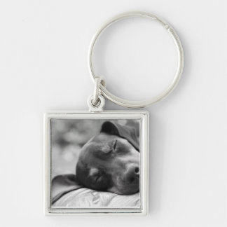 Sleeping Miniature Pinscher dog Key Ring
