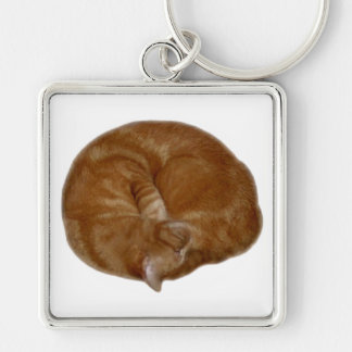 Sleeping Orange Cat Key Ring