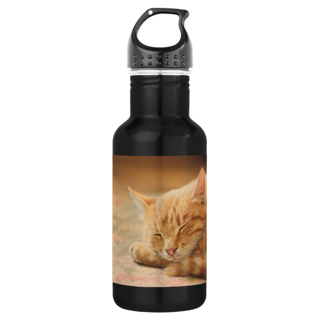 Sleeping Orange Tabby Cat 532 Ml Water Bottle (Front)