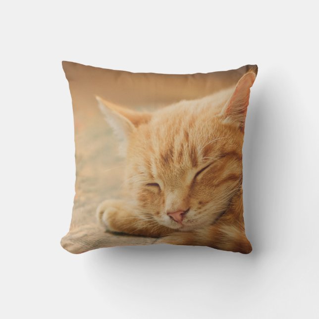 Sleeping Orange Tabby Cat Cushion (Front)