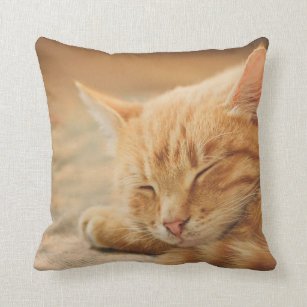 Sleeping Orange Tabby Cat Cushion