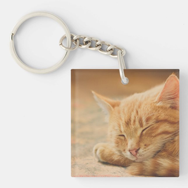 Sleeping Orange Tabby Cat Key Ring (Front)
