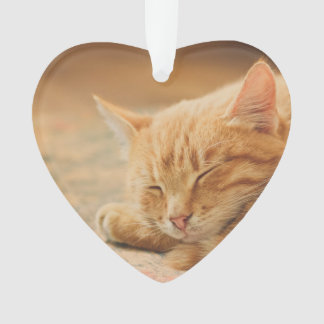 Sleeping Orange Tabby Cat Ornament