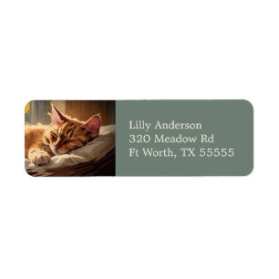 Sleeping Orange Tabby Cat Pet Art Return Address Label