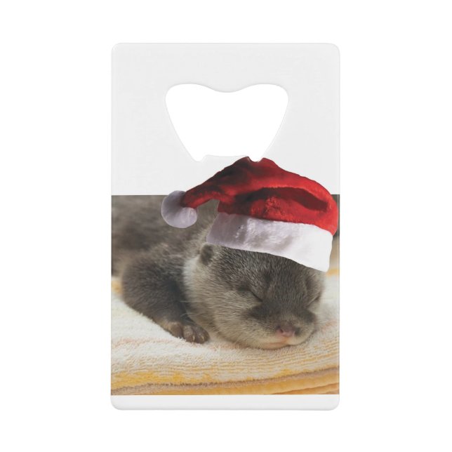Sleeping-Otter (Front)