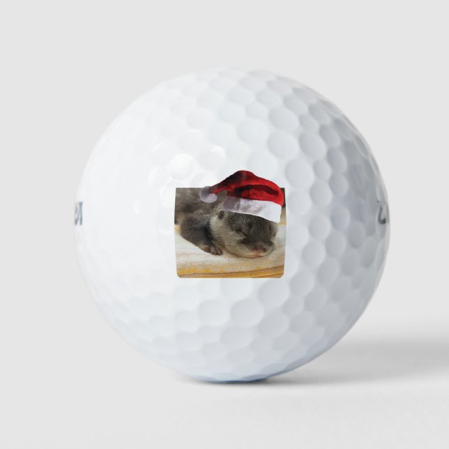 Sleeping-Otter Golf Balls (Front)