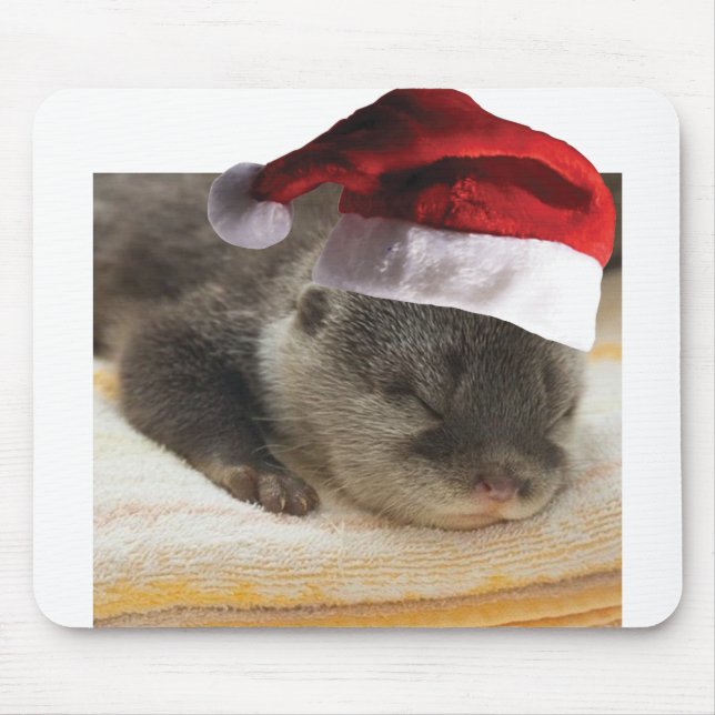 Sleeping-Otter Mouse Pad (Front)