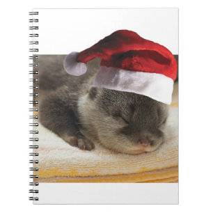 Sleeping-Otter Notebook