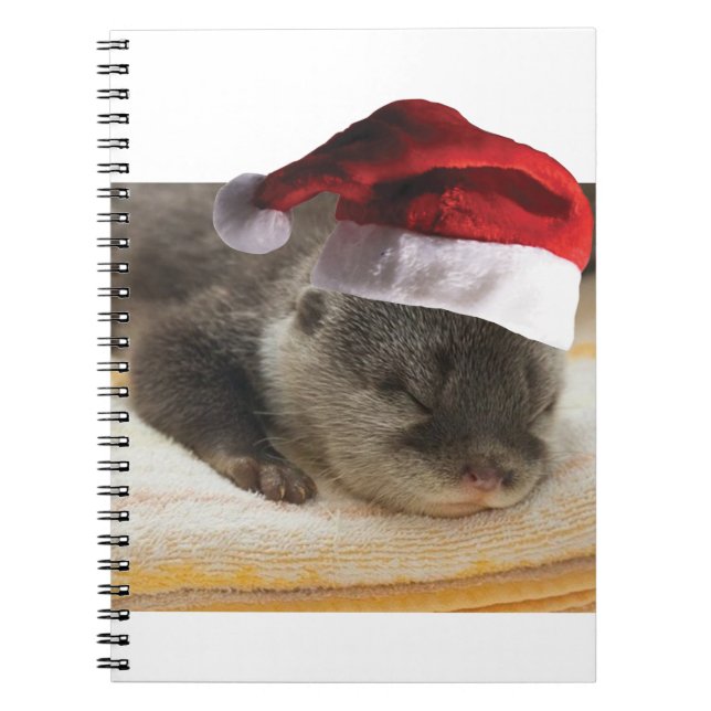 Sleeping-Otter Notebook (Front)