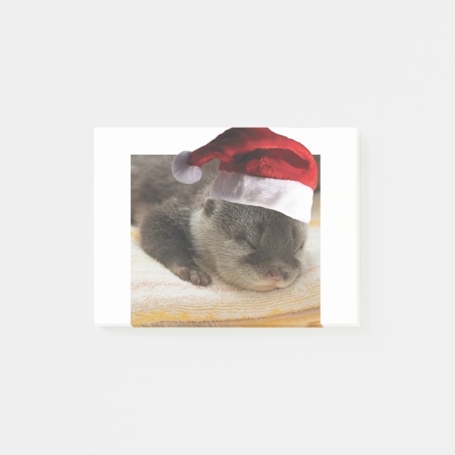 Sleeping-Otter Post-it Notes (Front)