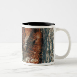 Sleeping Owl in a Tree Two-Tone Coffee Mug