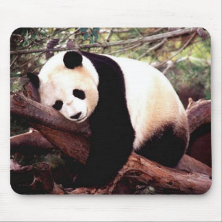Sleeping Panda Mouse Pad