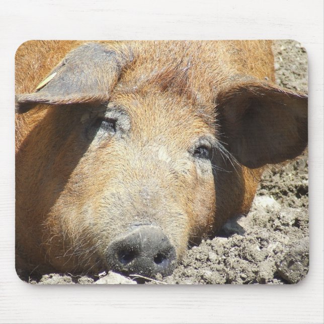 "Sleeping Pig" Mousepad (Front)