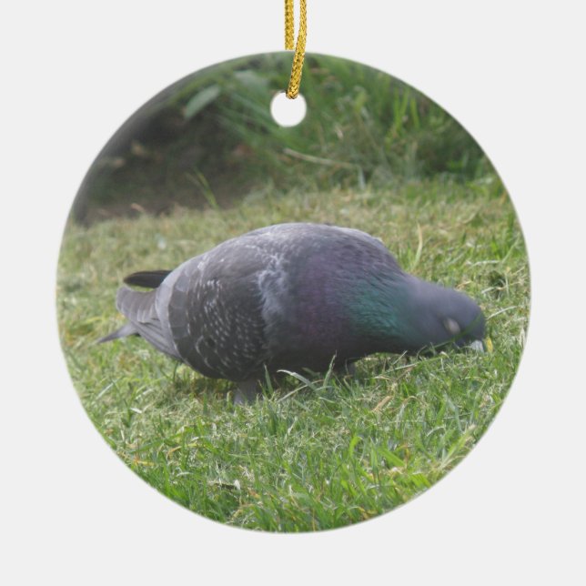 Sleeping Pigeon Custom Birthday Ceramic Ornament (Front)