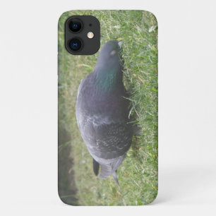 Sleeping Pigeon iPhone 3 Case