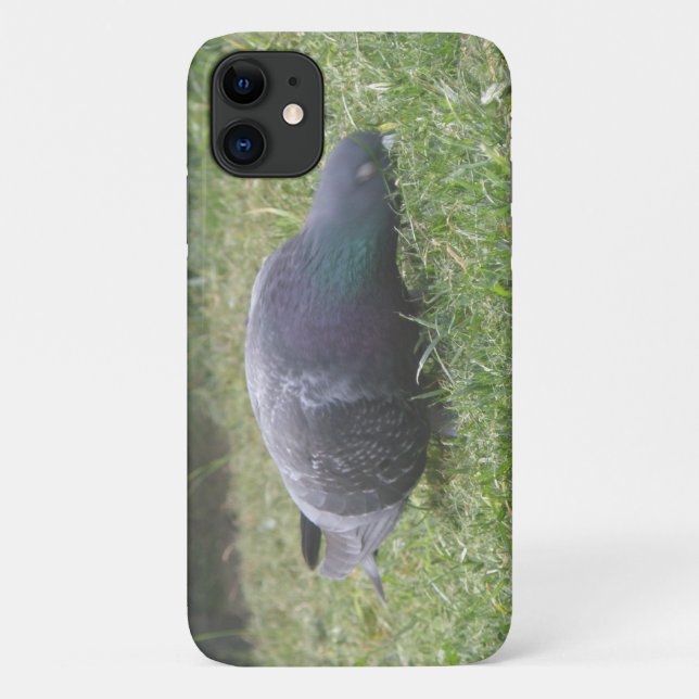 Sleeping Pigeon iPhone 3 Case (Back)