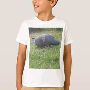 Sleeping Pigeon Kids T Shirt