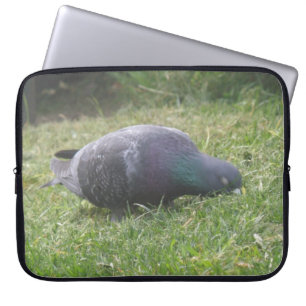 Sleeping Pigeon Laptop Bag