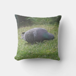 Sleeping Pigeon Pillow
