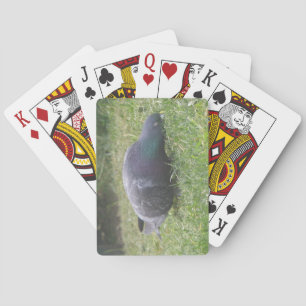 Sleeping Pigeon Playing Cards