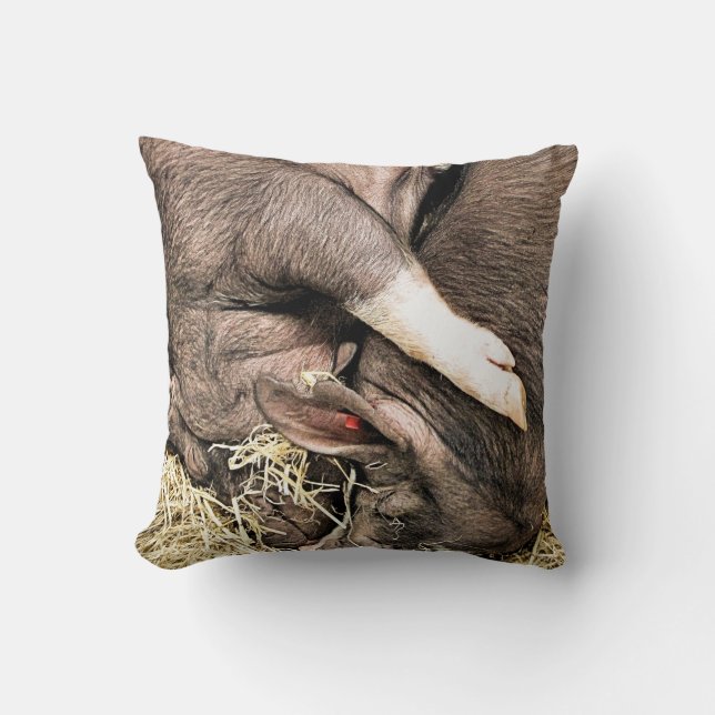 SLEEPING PIGS CUSHION (Front)