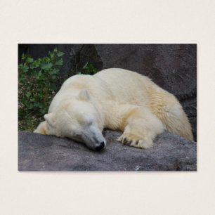 Sleeping Polar Bear