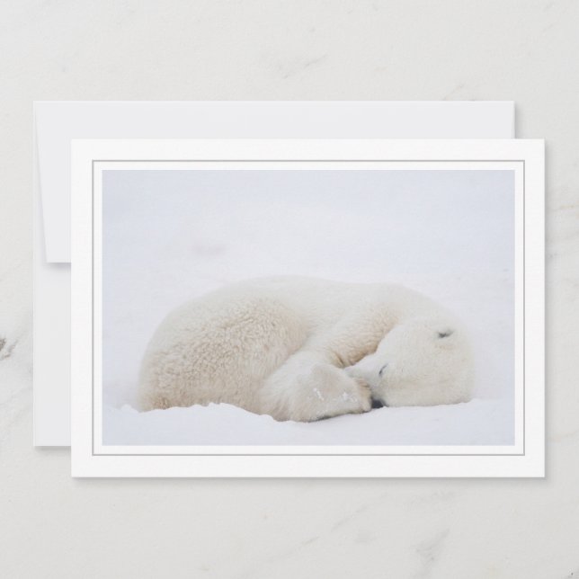 Sleeping Polar Bear Holiday Card (Front)