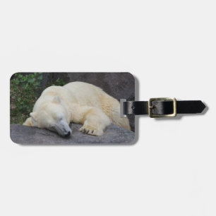 Sleeping Polar Bear Luggage Tag