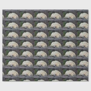 Sleeping Polar Bear Wrapping Paper