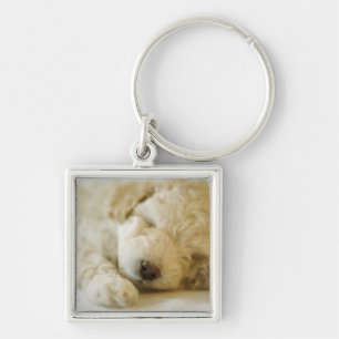 Sleeping Poodle puppy 2 Key Ring