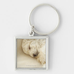 Sleeping Poodle puppy Key Ring