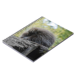 Sleeping Porcupine Notebook