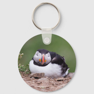 Sleeping Puffin Key Ring