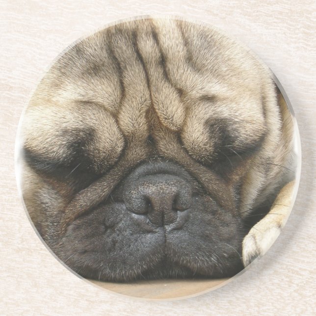 Sleeping Pug Coasters (Front)
