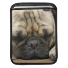 Sleeping Pug iPad Sleeve