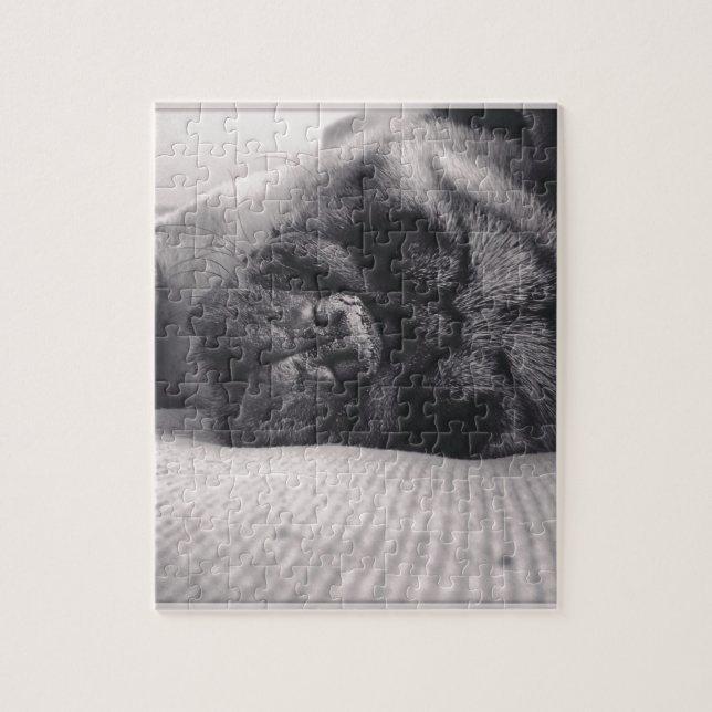 Sleeping Pug Jigsaw Puzzle (Vertical)