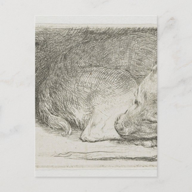 Sleeping puppy by Rembrandt Postcard (Front)