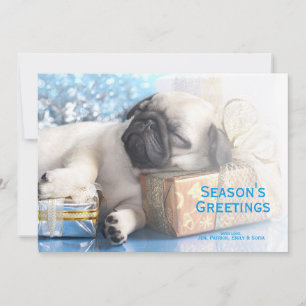 Sleeping  puppy pug and Christmas gifts Holiday Card