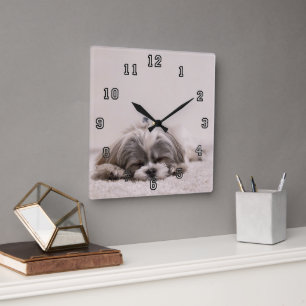 Sleeping Puppy Square Wall Clock