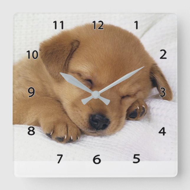 Sleeping Puppy Wall Clock (Front)