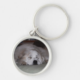 Sleeping Pyr Key Ring