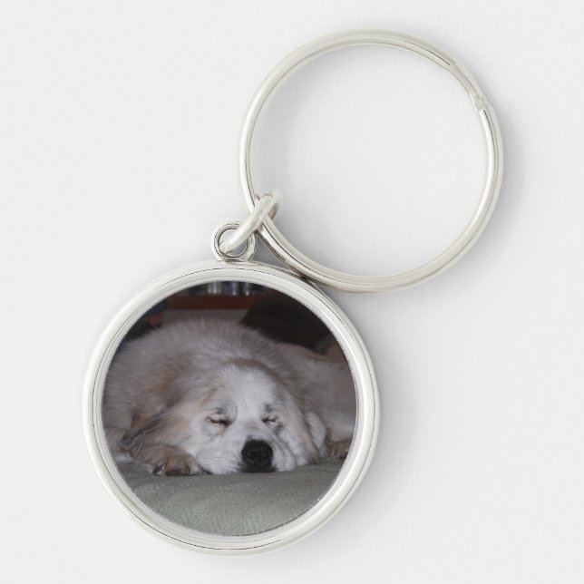 Sleeping Pyr Key Ring (Front)